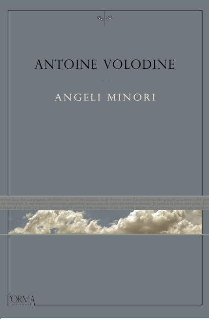 Copertina di Angeli minori